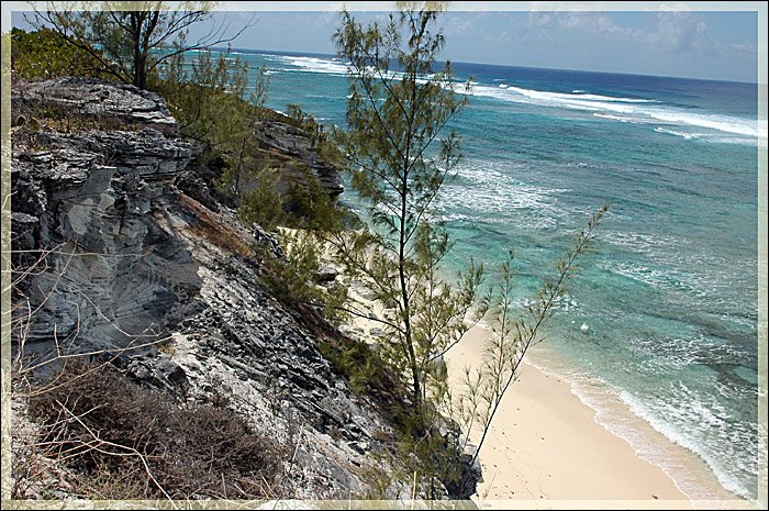 Grand Turk by Krish Gopal