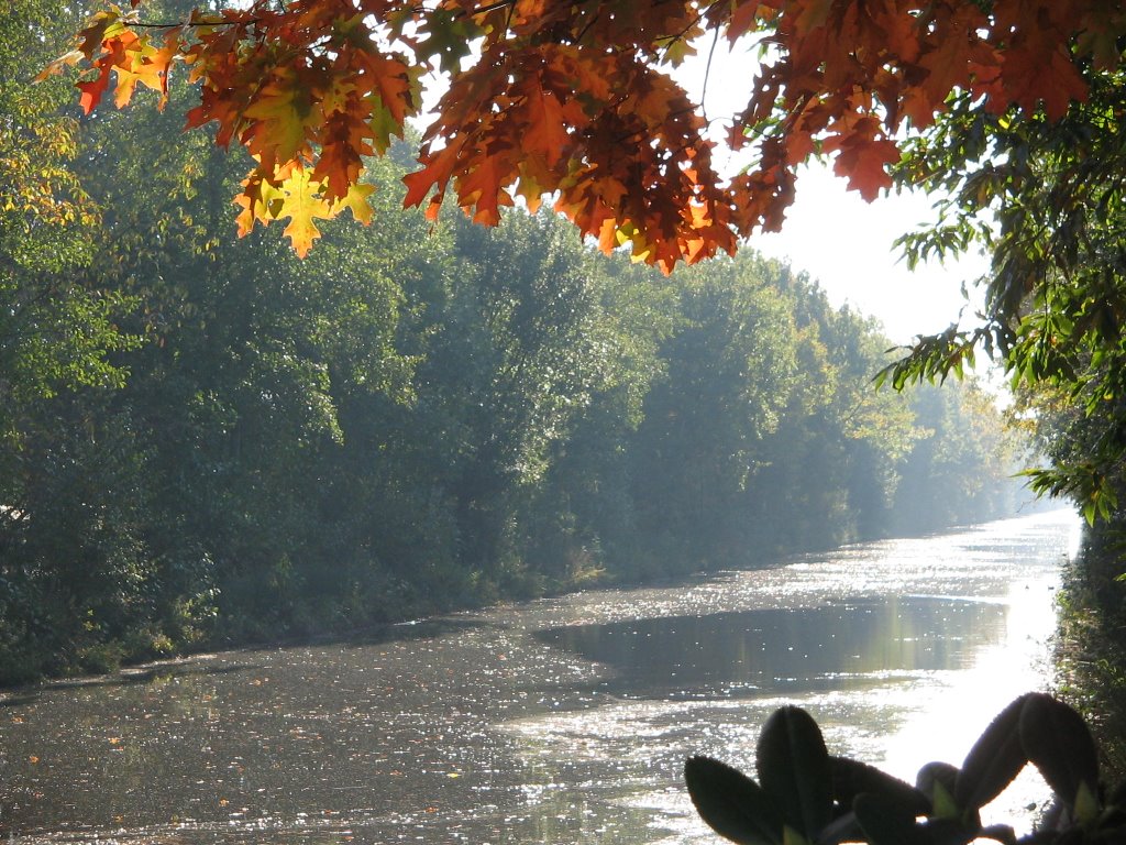 Blick von der Schleuse Reekenfeld im Herbst by wreboshirk