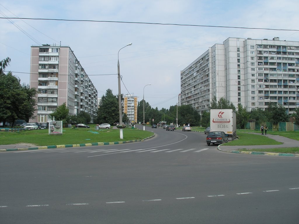 Zyablikovo District, Moscow, Russia by ant0sha