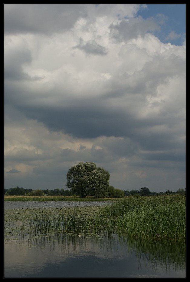 Narew by annie.d