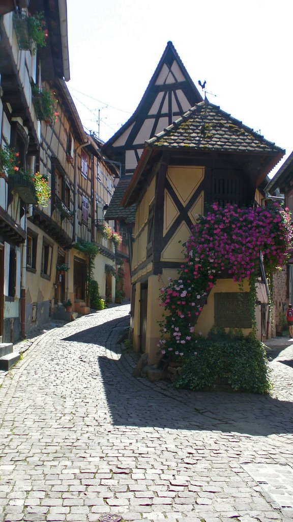 Eguisheim by DieterA