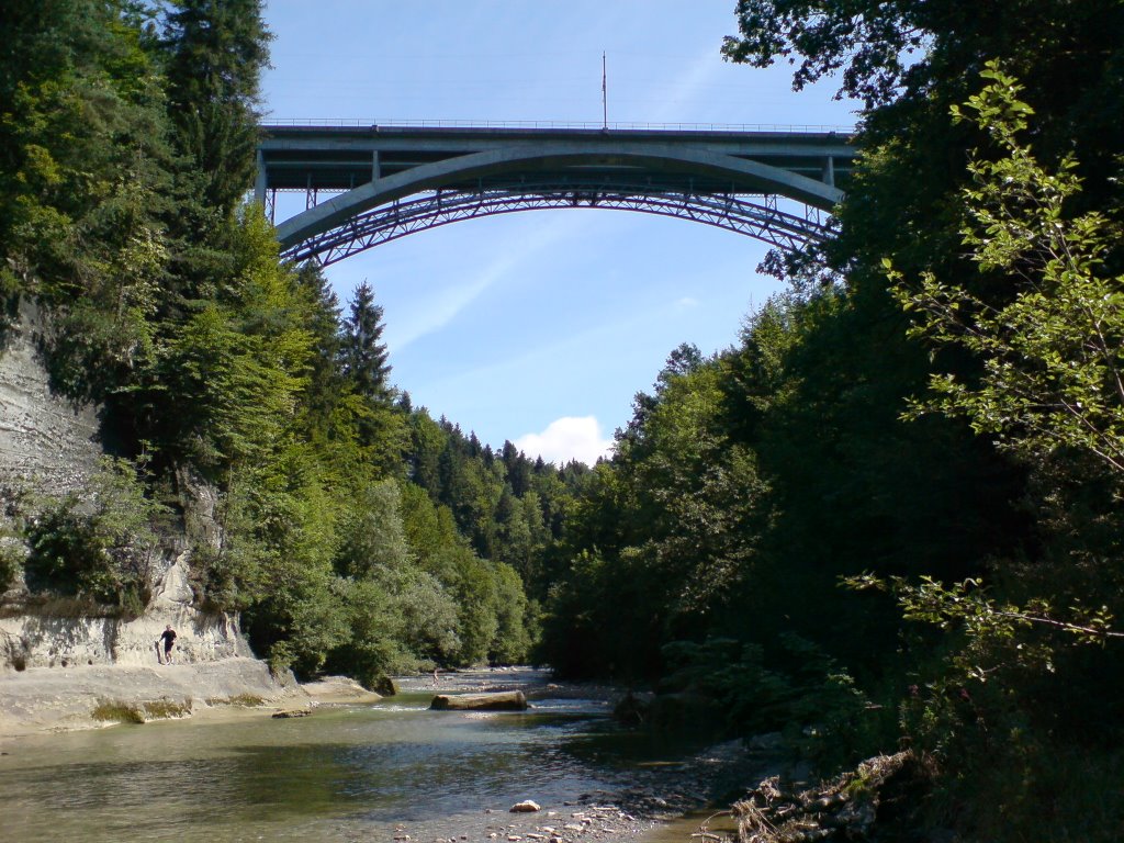 Schwarzwasserbrücke von unten by fschm