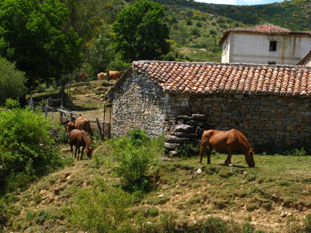 Cuadra y caballos en Lebanza by javinoster