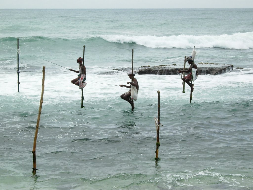 Fishing at Ahangama by Saman Jayawardene