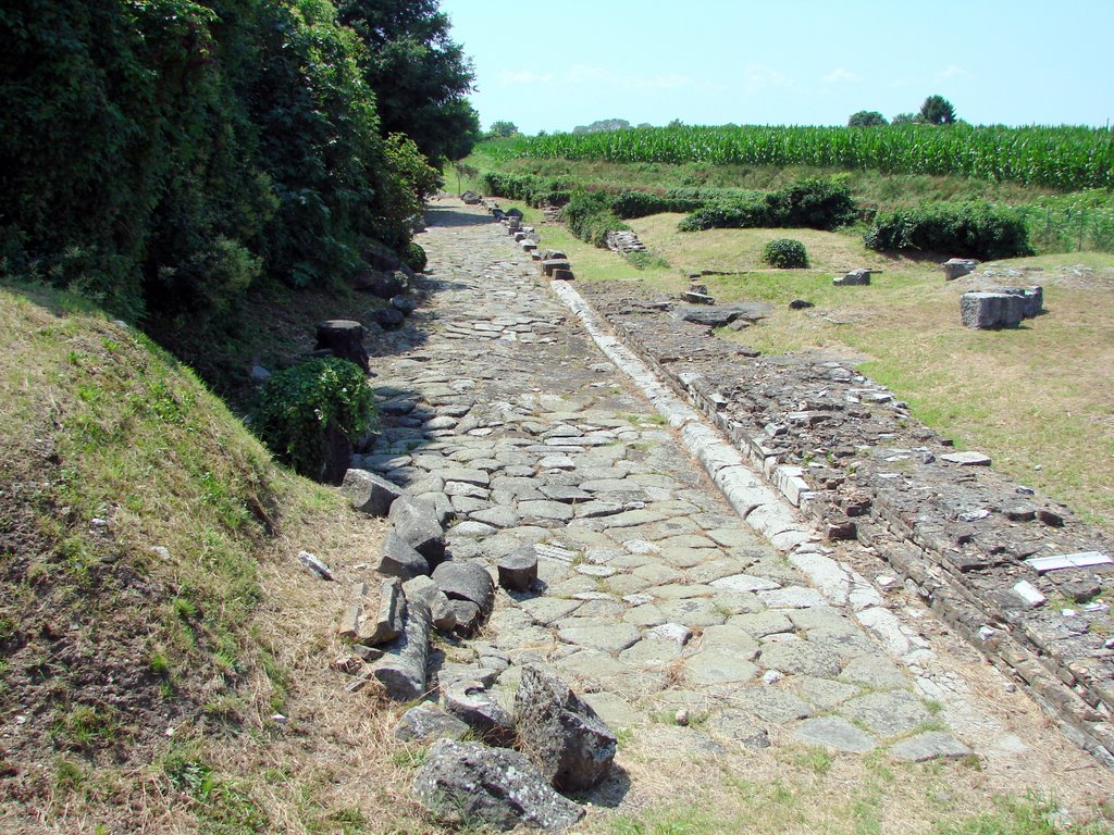 Aquileia -Tratto di strada romana a ponente della via Giulia Augusta by RosyRR