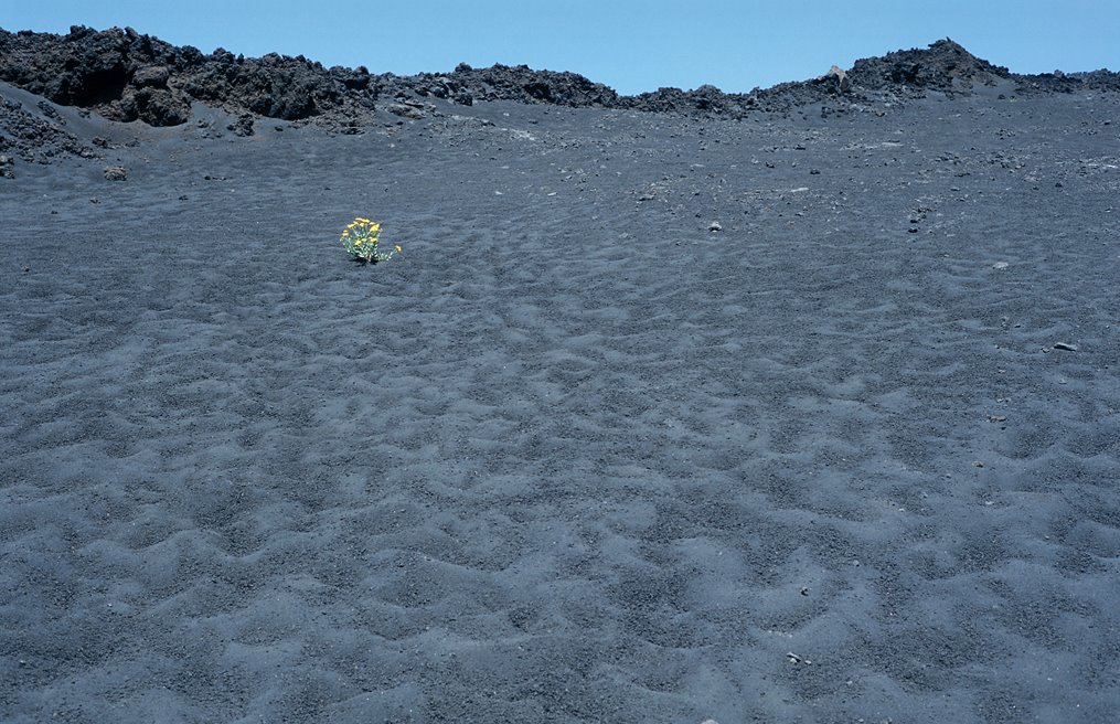 Ash on Etna by ignis_veneficus