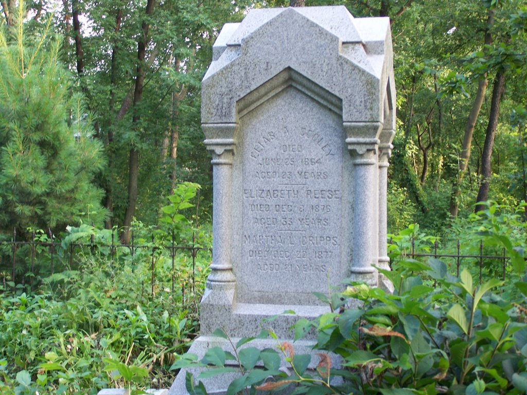 Grave at Jewell Grove by keithyearman