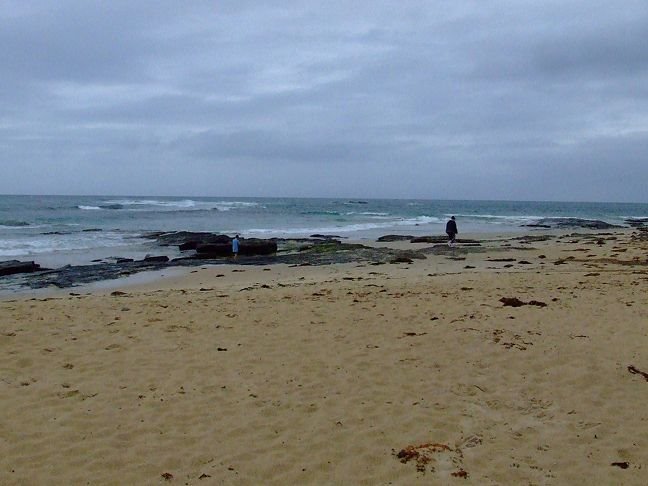 Beach at Berrara by EcologistGreg