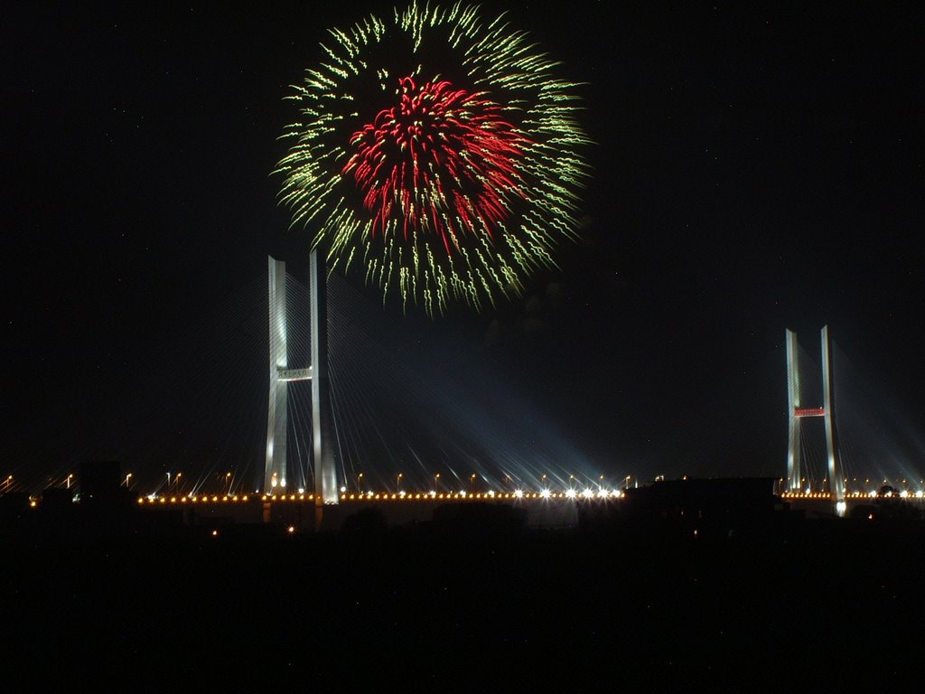 荆州长江大桥夜景 by bigjon163