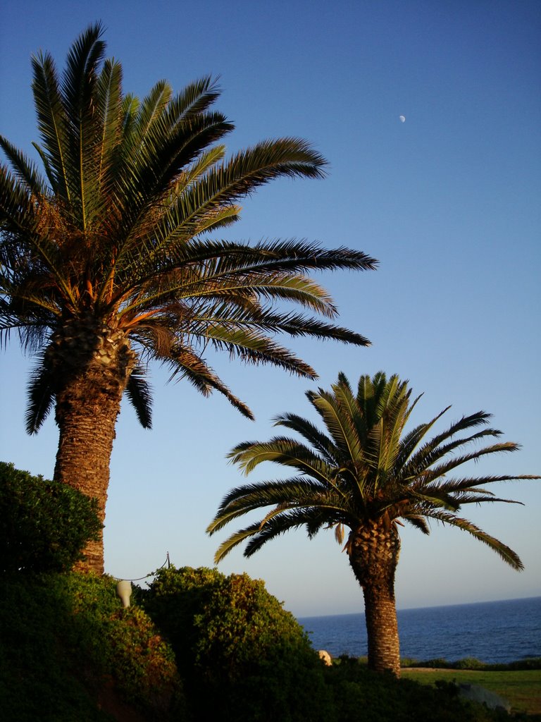 Zypern-Hotel Atlantica Club SunGarden Beach by Steffen Eckardt