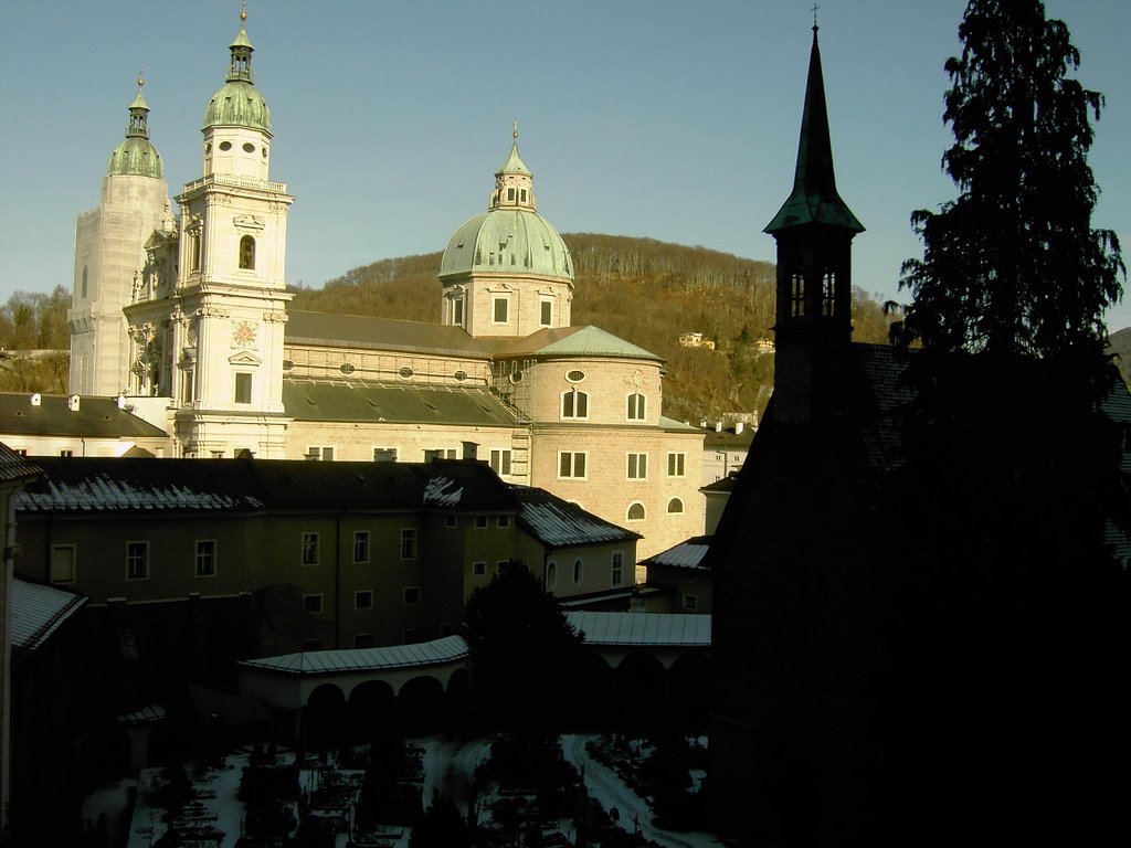 Dome of Salzburg by Mihaela Branzan