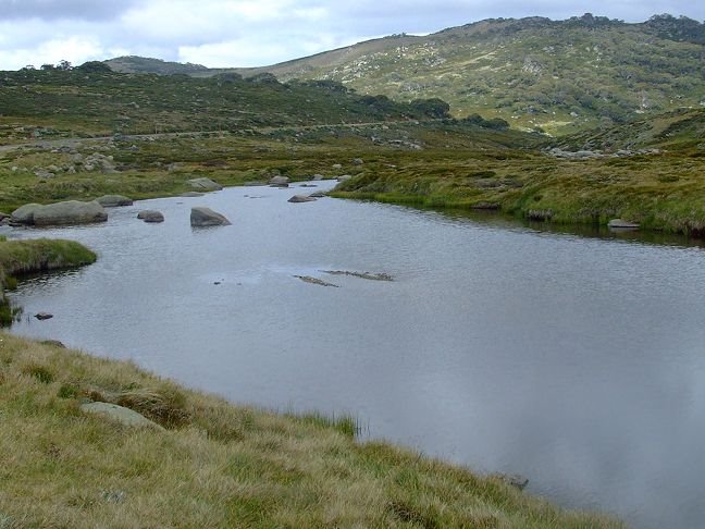 Spencers Creek at Summit Road crossing (Iszy Steenbeeke photographer) by EcologistGreg