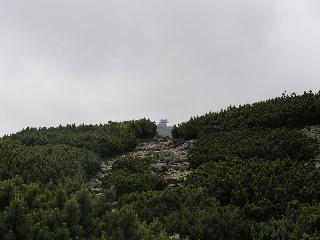 A south view to Śnieżka. by Dariusz Dębicki