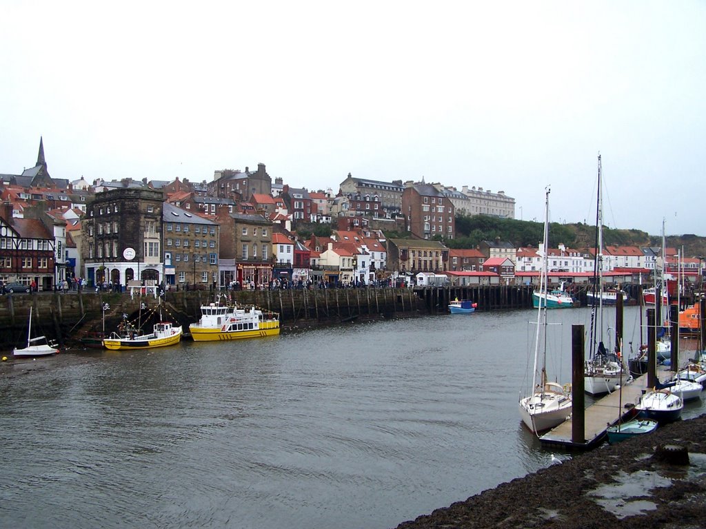 Whitby Harbour by Mark White