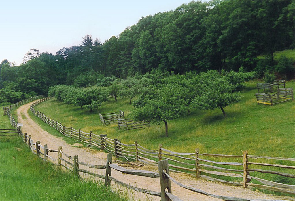 Country Lane, Old Sturbridge Village, Sturbridge, Massachusetts by © Tom Cooper