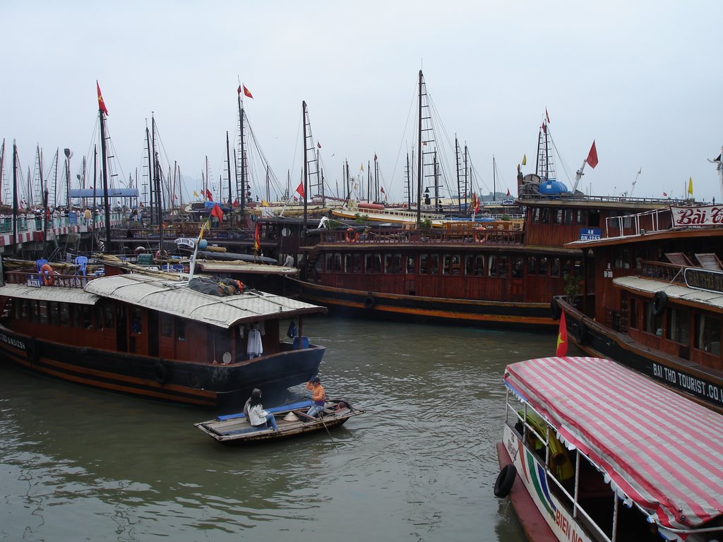 Ready for many tourists in Ha Long, Vietnam by looser oswald