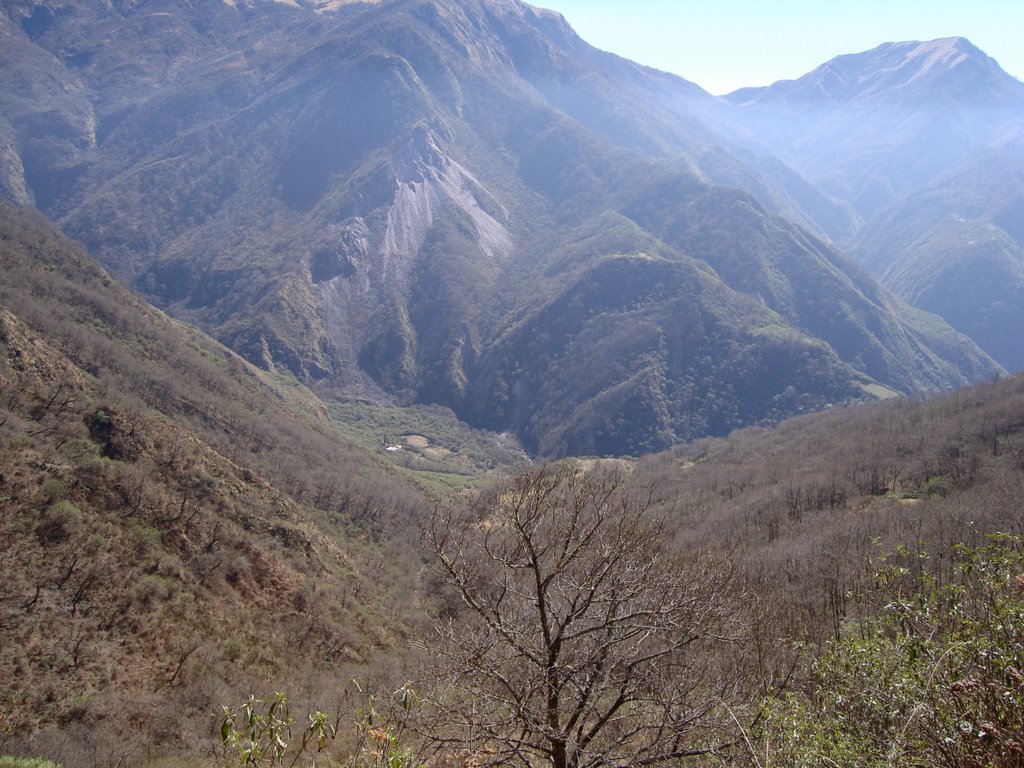 Abra de Amara (Vista hacia Quebrada de Lozano) by rmpiza