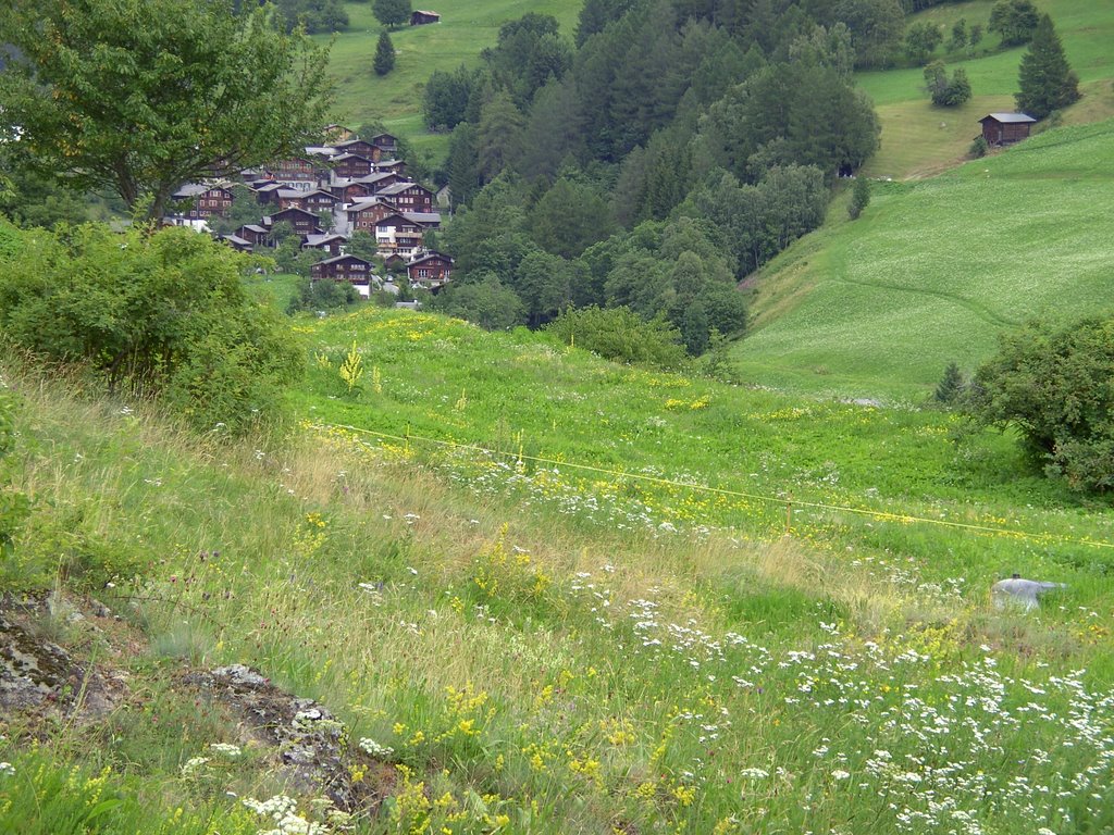 Dorf Mühlebach by Merz_René