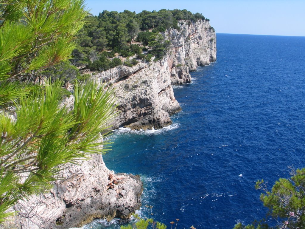 Standing on the Tip of the Cliff by Tania Lugomer-Pomper