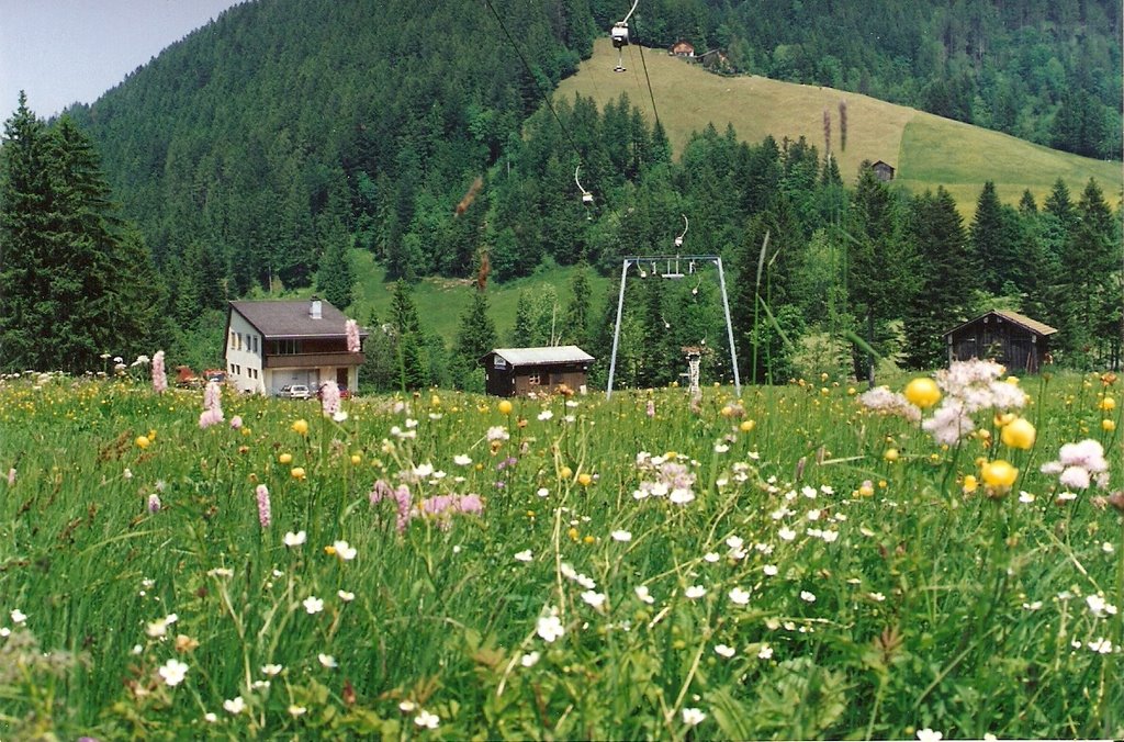 Mostelberg by Jan Lefers