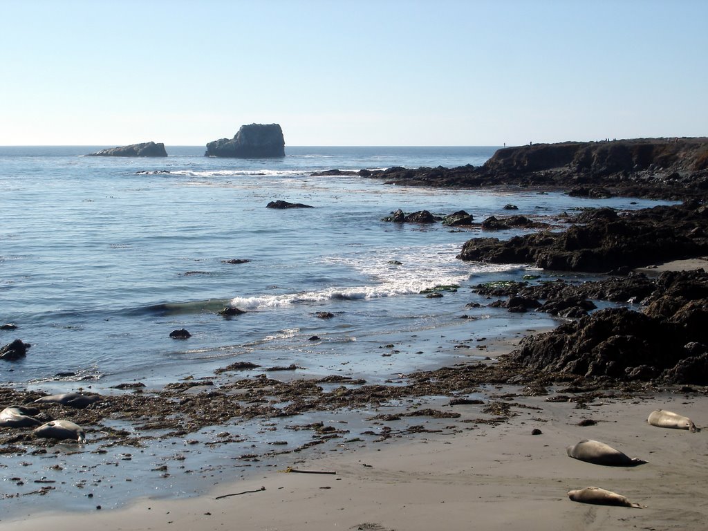 Piedras Blancas by Joseph Lamoureux