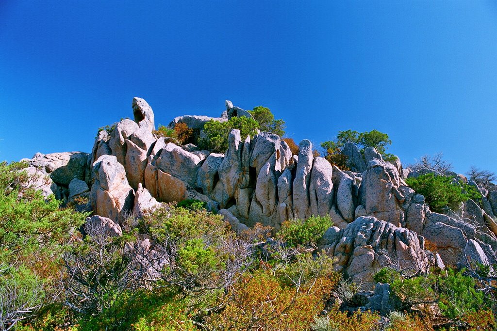 Sentier du littoral de Bruzzi by Andrea Riberti