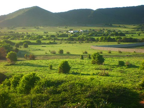 Campo cercano a Playa El Agua / Playa El Agua Countryside by R.M.