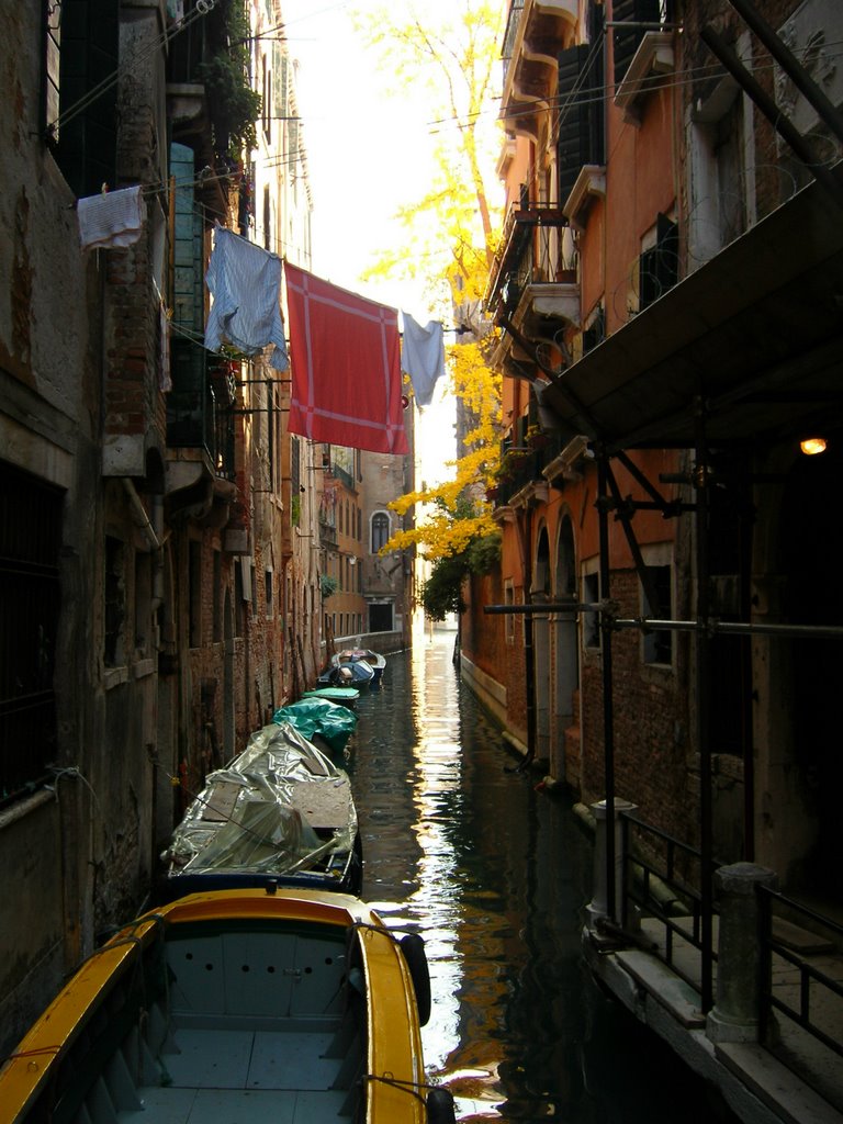 Venice Yellow by Mateus Amaral