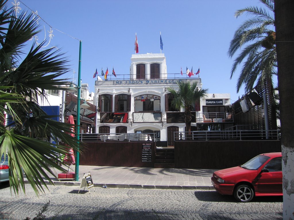 Mr Frog's Marina Yacht Club by titoudu67