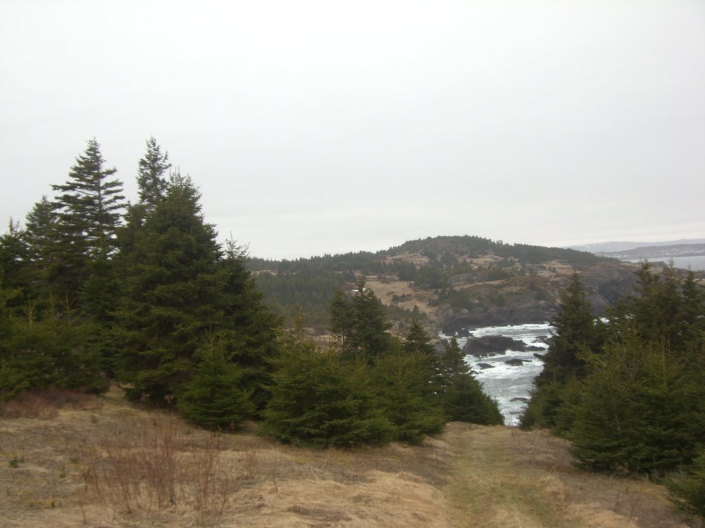 Cupids, NL, Canada by mr.boyd