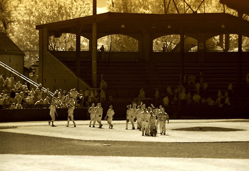 Labatt Park by digitaltoast