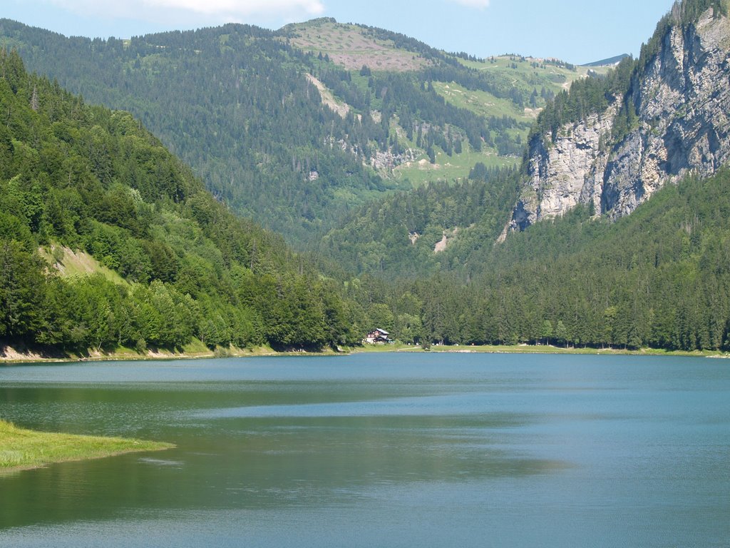 Lac de Montriond by Wim Constant