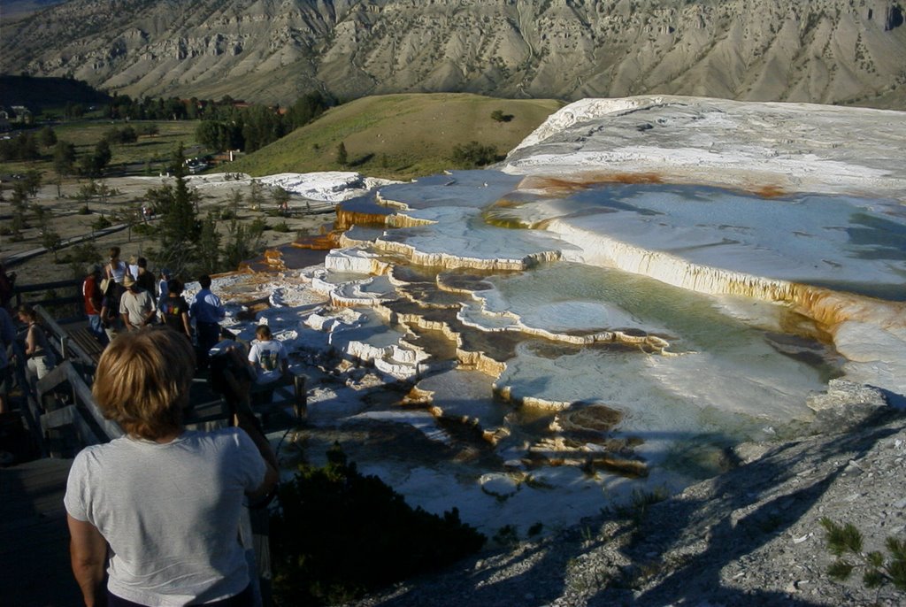 Mammoth Springs Upper Terrace. by alanjames