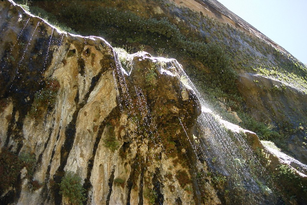 The Weeping Wall at Zion. by alanjames