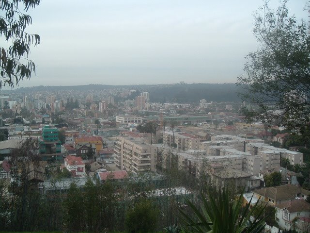 Viña desde Qunta Vergara by fockerbb