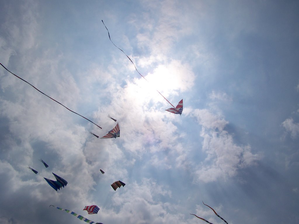 Fly Kites by naomi0_0