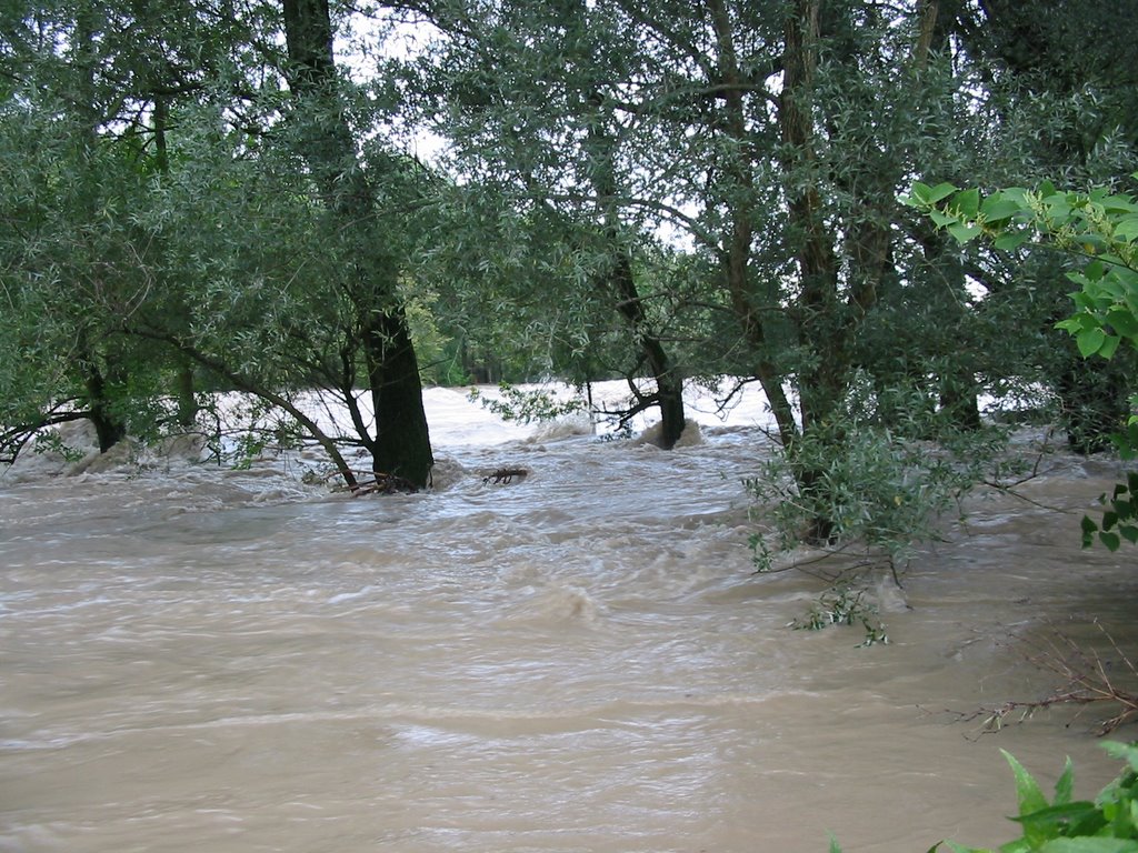 Hochwasser der Ybbs im September 2007 by Merowinger31