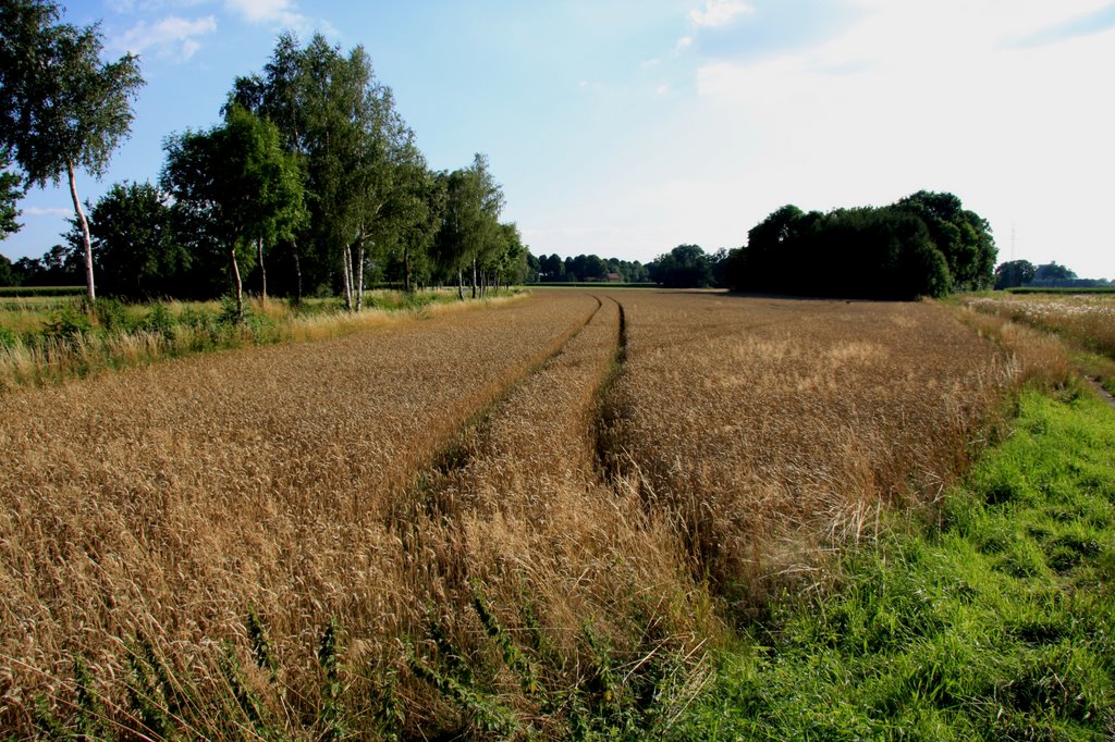 Sander Land by Sorodorin