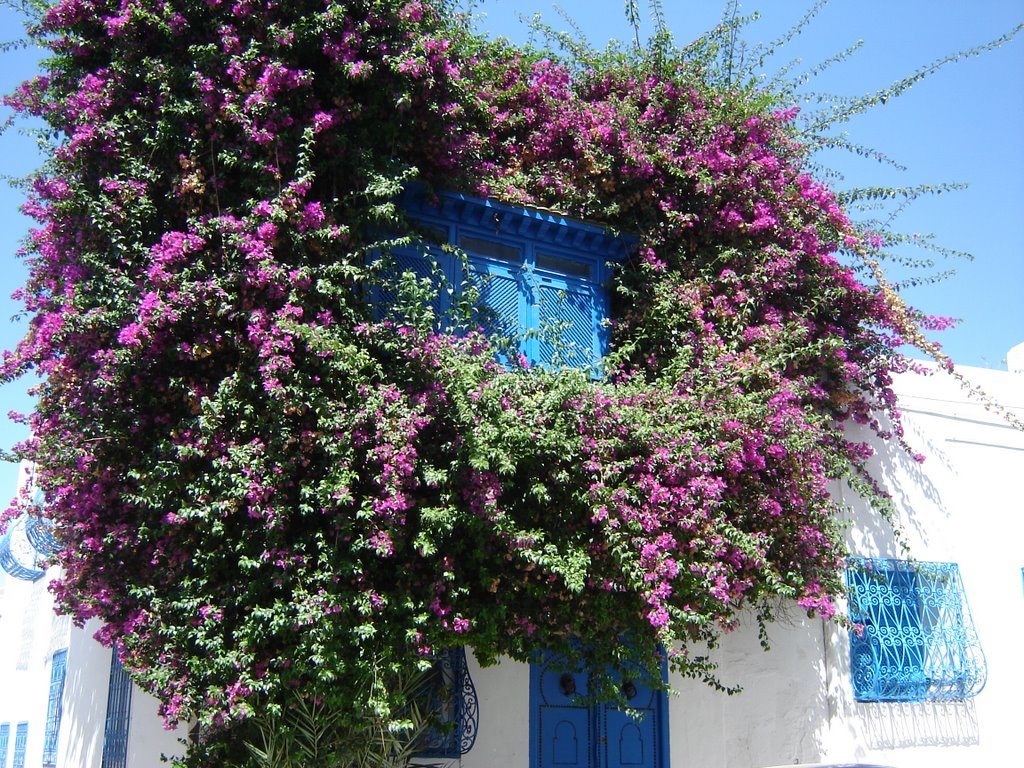 Casa tipica,sidi bou said,Tunez by Ruben R.G.