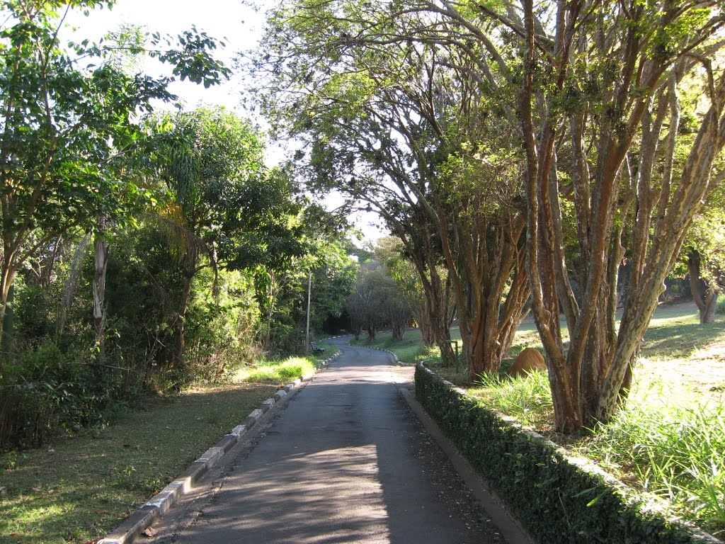 Lago do café - passeio interno by nelio xavier