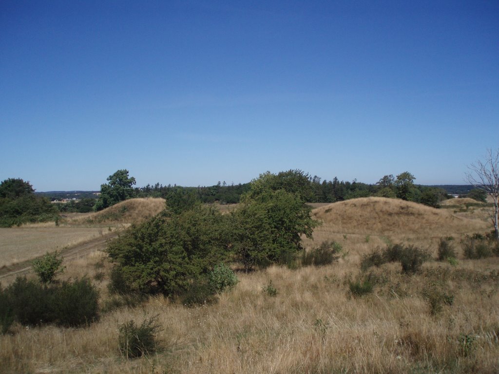 Thorsø høje by o gram madsen