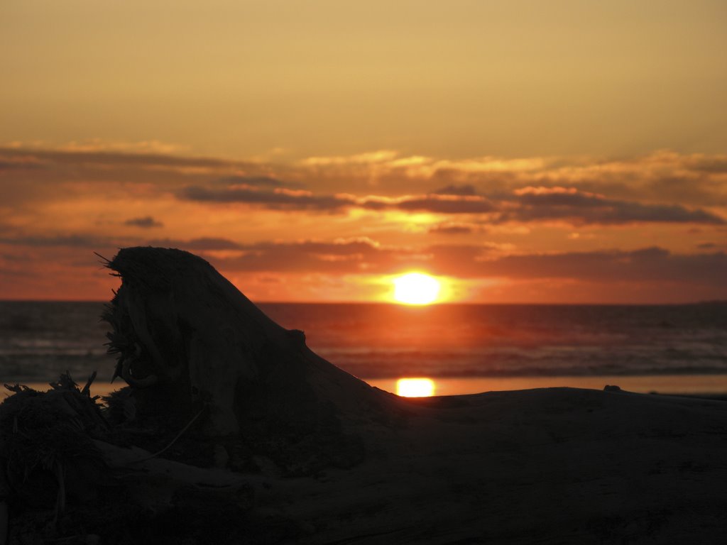 Sunset at Kalaloch Beach by p.vr