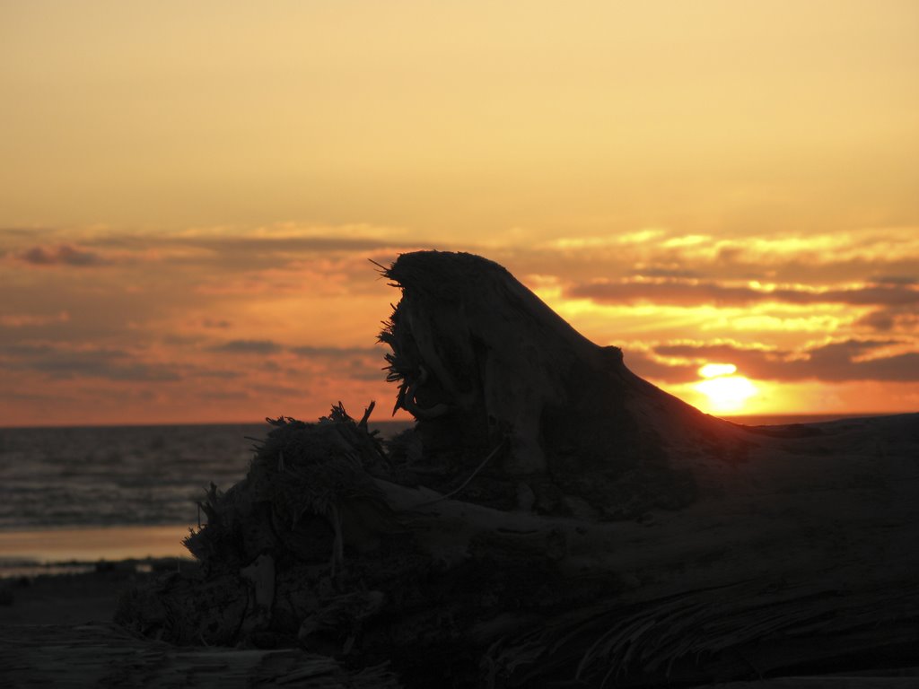 Sunset at Kalaloch Beach by p.vr