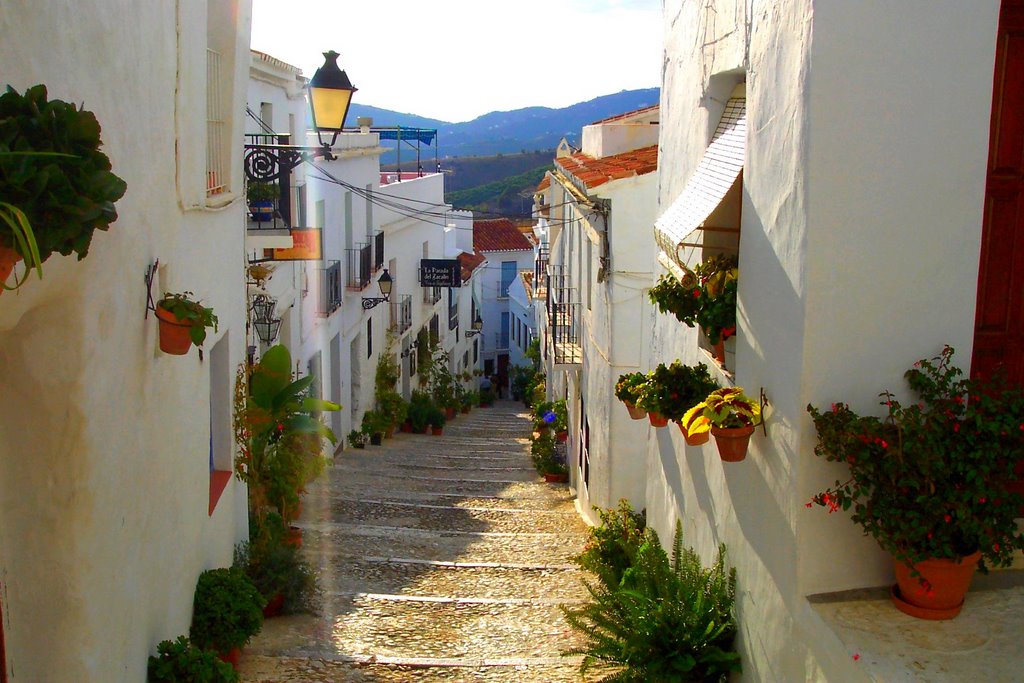 STREET IN FRIGILIANA by Terrie Juan de Loren…