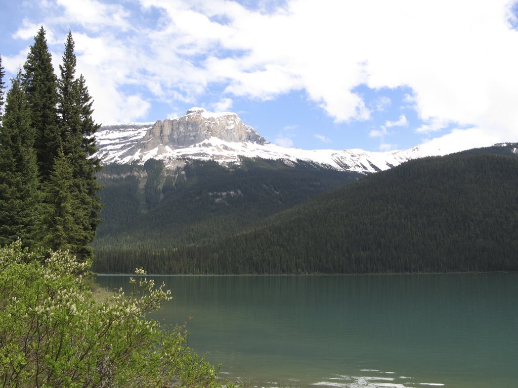 Emerald Lake, Yoho NP by p.vr