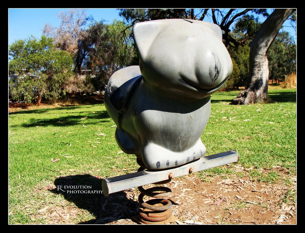 Lions park, Hillston. by OZ Photography