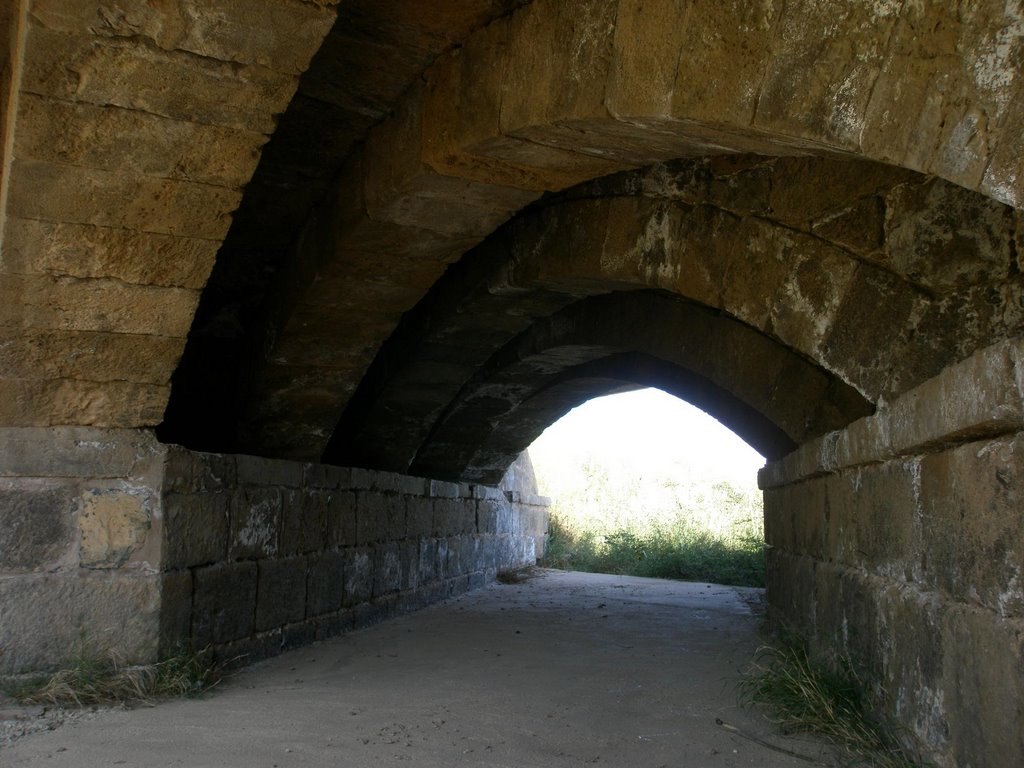 Puente Oblícuo (Alfaro - La Rioja) by David Torres Ba