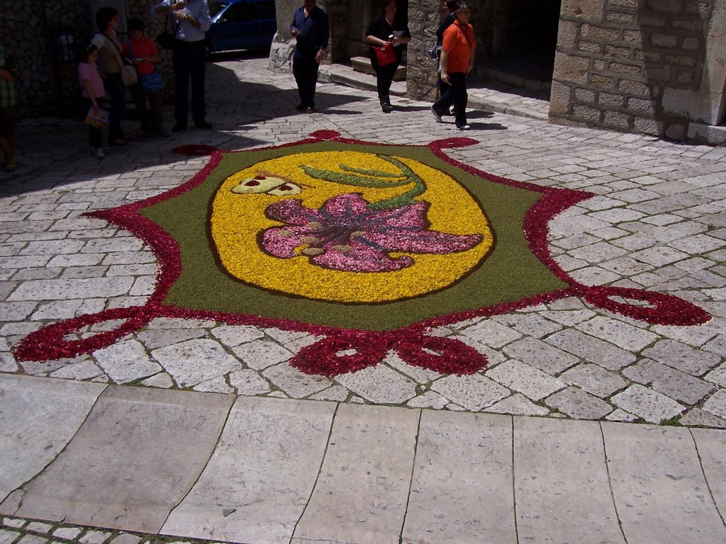 Cusano Mutri: Infiorata 2008 by Elio Volpe