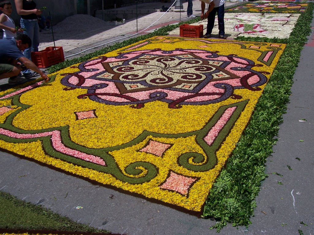 Cusano Mutri: Infiorata 2008 by Elio Volpe