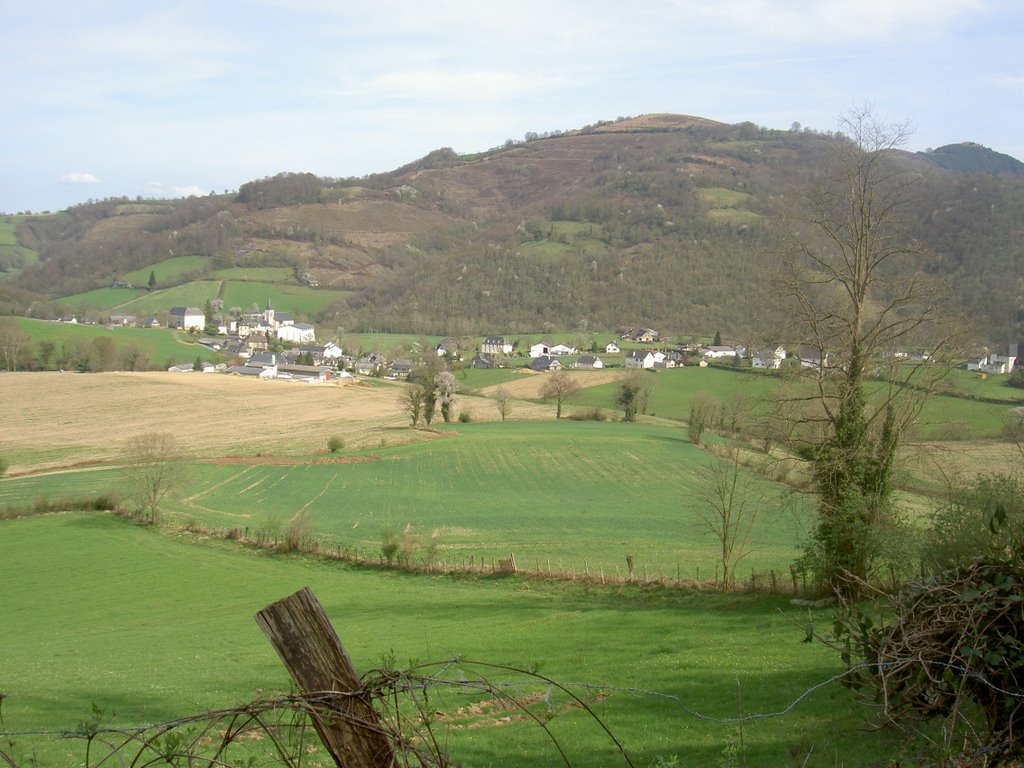 Near Barcus, countryside by neurozee